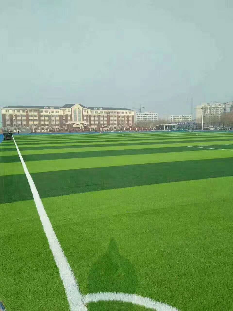 汕头市混合型塑胶跑道仿真草坪 - 推荐